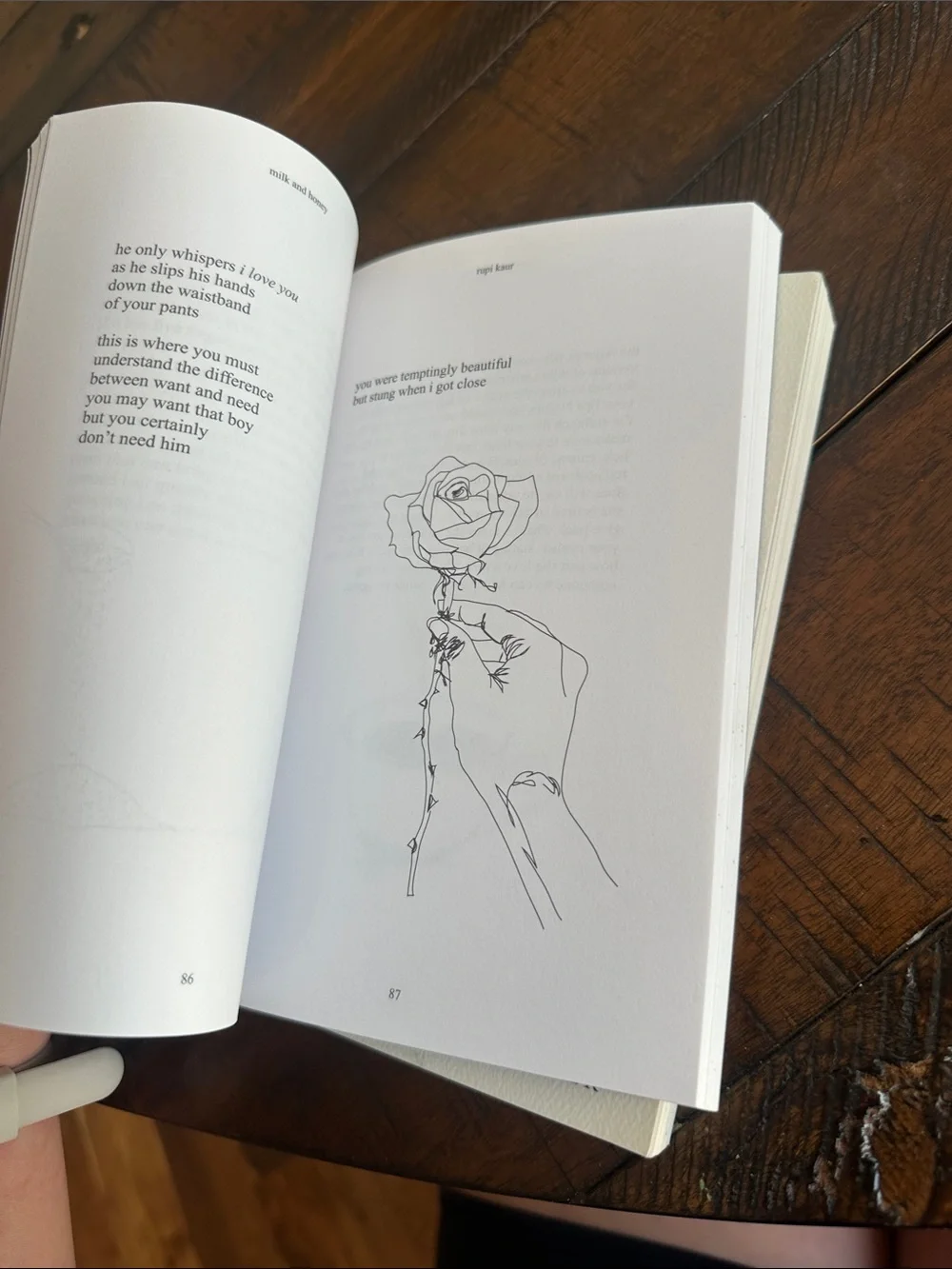 Rupi kaur set includes
